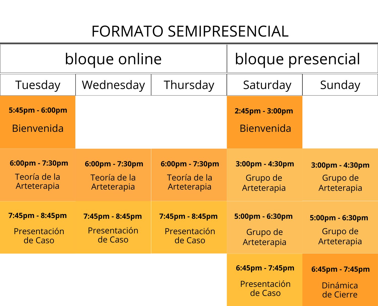 curso Introductorio de Artetetrapia primavera formato semipresencial